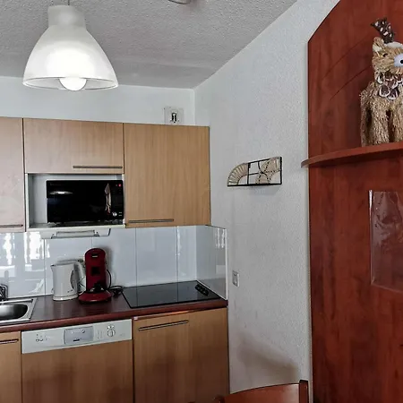 Duplex Avec Piscine, Salle De Fitness, Parking Et Animaux Acceptes - Fr-1-404-321 Apartment *