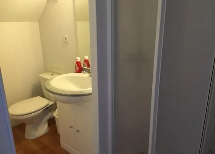 Duplex Avec Piscine, Salle De Fitness, Parking Et Animaux Acceptes - Fr-1-404-321 *