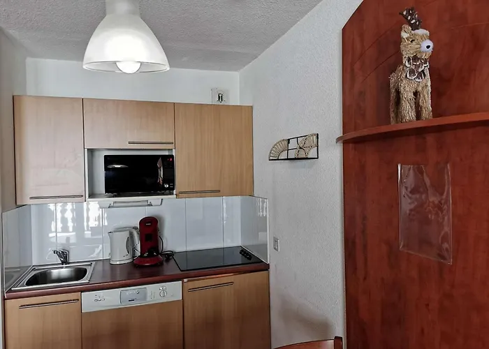 Duplex Avec Piscine, Salle De Fitness, Parking Et Animaux Acceptes - Fr-1-404-321 アパート *