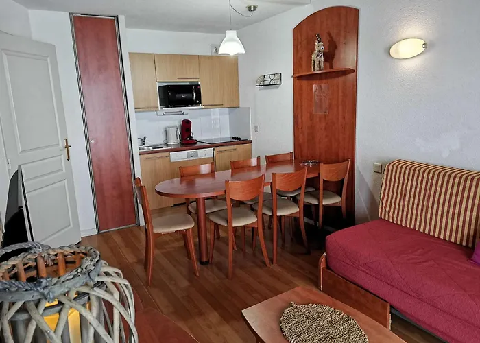 Duplex Avec Piscine, Salle De Fitness, Parking Et Animaux Acceptes - Fr-1-404-321 アパート *